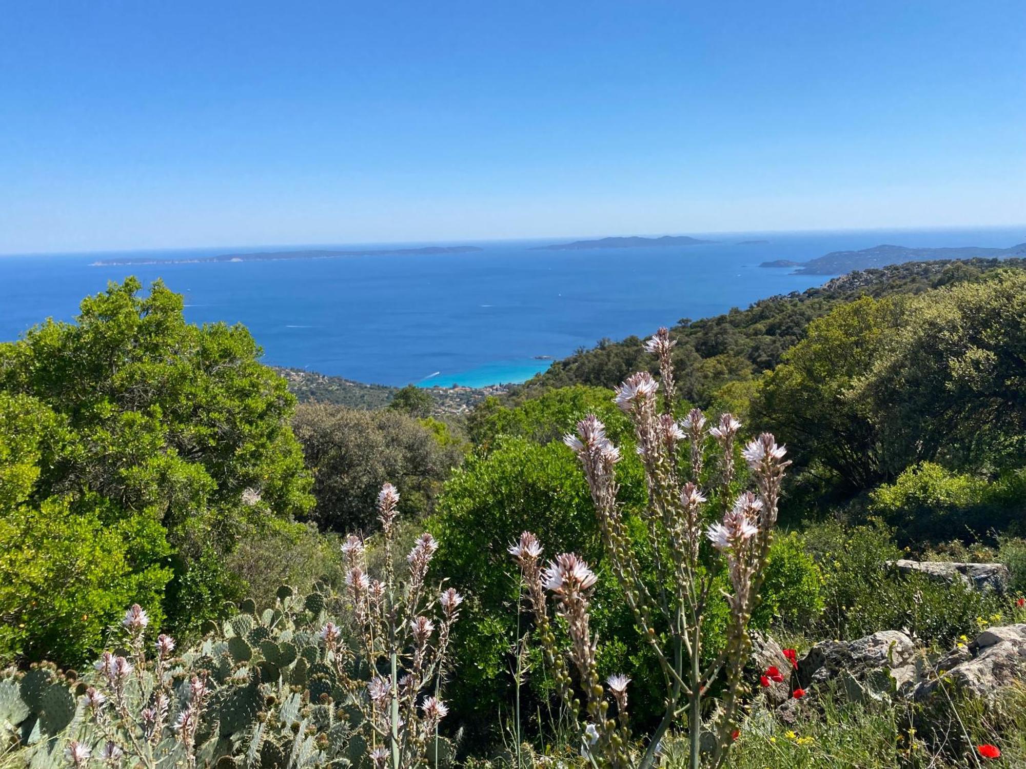 Apartamento Rez De Jardin T3 Recent Et Calme Au Nouvelles Terres A La Londe Les Maures Exterior foto
