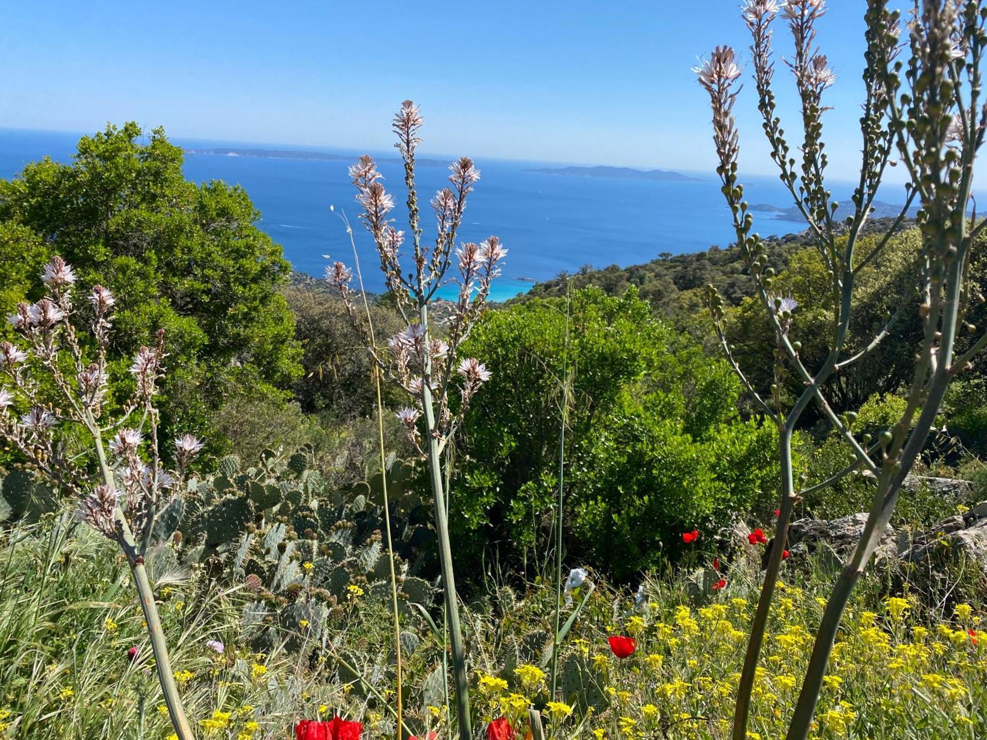 Apartamento Rez De Jardin T3 Recent Et Calme Au Nouvelles Terres A La Londe Les Maures Exterior foto